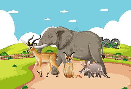 动物园场景中的一群野生非洲动物绘画卡通片环境植物森林荒野野生动物动物群大草原公园图片