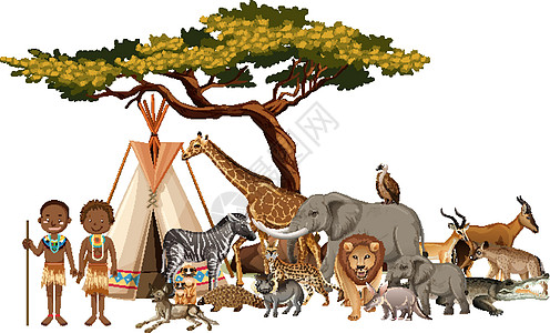 非洲部落与白色背景上的一群非洲野生动物生物卡通片丛林荒野植物哺乳动物收藏绘画动物园食肉图片