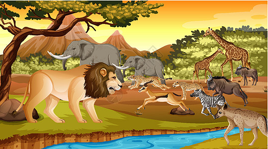 森林场景中的非洲野生动物群狮子鬣狗猎人风景野生动物捕食者生活团体插图国王图片