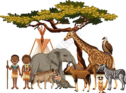 非洲部落与白色背景上的一群非洲野生动物卡通片食肉插图收藏动物群动物园哺乳动物捕食者植物荒野图片