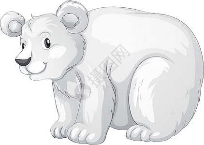 北极熊物种白色荒野动物食肉哺乳动物草图绘画图片