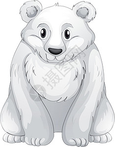 北极熊荒野绘画物种草图白色动物食肉哺乳动物图片