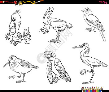 卡通鸟类动物字符设置着色书 pag图片