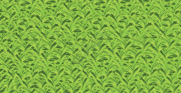 现实的黄绿色草 草原背景矢量洋甘菊天空墙纸环境土地花瓣横幅场地季节生长图片