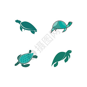 乌龟动物卡通图标图像 vecto生物甲壳栖息地形式脚蹼游泳海洋海龟生态生命图片