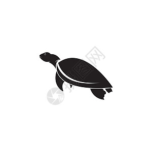乌龟动物卡通图标图像 vecto移民网站游泳生命栖息地插图生物生态住宅海龟图片