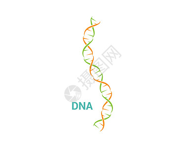 DNA 标志矢量插图基因组技术化学染色体生活公司基因螺旋标识图片