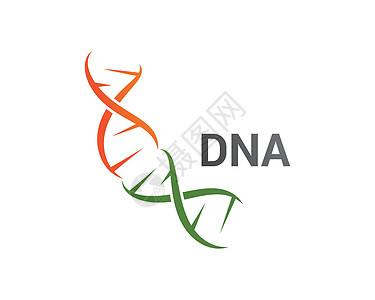 DNA 标志矢量染色体标识技术插图细胞生物科学原子基因组螺旋图片