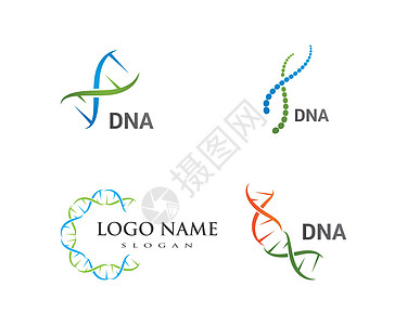 DNA 标志矢量生物公司基因组克隆科学细胞生活生物学螺旋原子图片