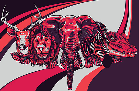 在白色背景上的卡通非洲野生动物狮子收藏漫画动物群树叶植物动物食肉团体犀牛图片