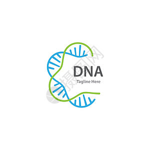 DNA 标志矢量药品基因组生物学标识生物染色体细胞螺旋化学公司图片