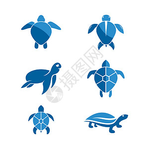 乌龟动物卡通 ico住宅生物海滩插图网站栖息地水龟生活海洋灭绝图片