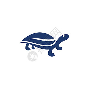 乌龟动物卡通 ico海龟生活甲壳灭绝水龟住宅生态生物栖息地脚蹼图片