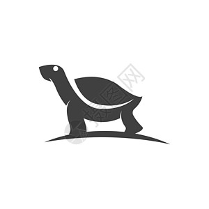 乌龟动物卡通 ico生态生物栖息地水龟海洋海滩脚蹼移民灭绝甲壳图片