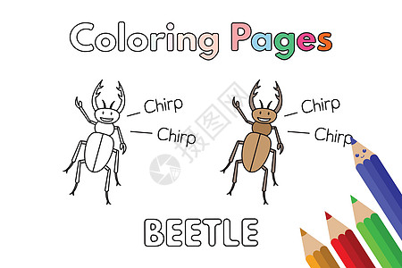 Cartoon 披甲彩色本艺术品绘画孩子染色幼儿园铅笔英语甲虫乐趣动物图片