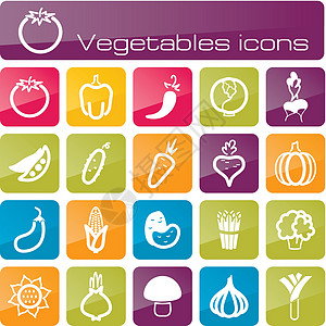 图标设置蔬菜向日葵辣椒玉米壁球收藏食物插图韭葱健康季豆图片