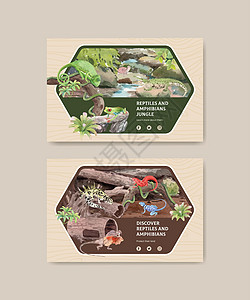 带有爬行动物和两栖动物概念 水彩色风格的Facebook模板乌龟社区卡通片异国情调动物学社交广告蜥蜴捕食者图片