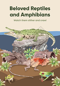带有爬行动物和两栖动物概念 水色风格的海报模板动物群尾巴青蛙爬虫异国插图水彩荒野热带营销图片