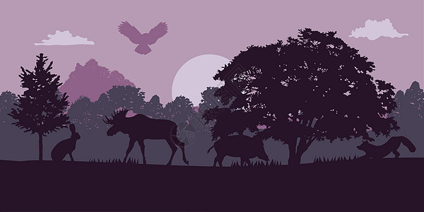 水平无缝景观与森林动物剪影 有狐狸 雄鹿 鹰 麋鹿 猪的针叶林 兔子 印刷品 广告 EPS 的野生动物背景图片