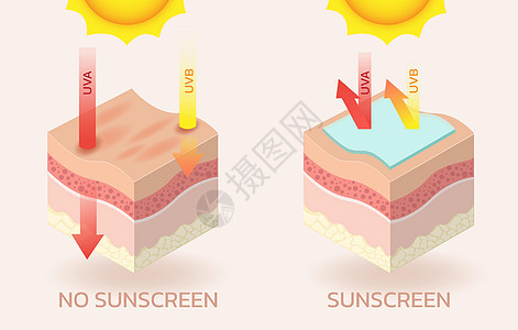 防晒霜阳光广告安全静脉屏幕管子化妆品皮肤科剪贴簿产品图片