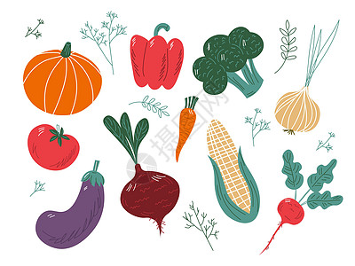 新鲜南瓜大量彩色大手绘制了白色背景上孤立的新鲜美味蔬菜 平板卡通矢量插图 EPS设计图片