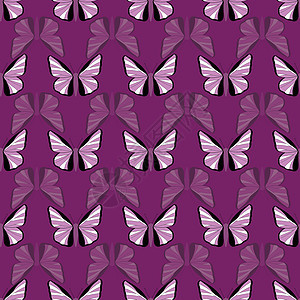 无缝矢量模式 带有紫蝴蝶设计背景图片