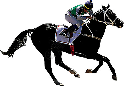 赛马和赛马骑手在赛马比赛中 孤立于白色背景马场速度骑手运动动物展示杯子良种马术冠军图片