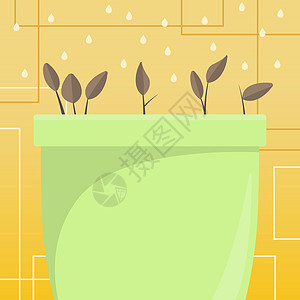 花草和草药由从上到下滴水冲刷 液体在大植物池中灌注 新鲜的种子强化了容器边缘的叶子环境保护环境计算机图形礼物生长植物学绿色卡通片图片