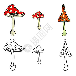 一组由三只以颜色和轮廓为颜色的苍蝇装饰 明亮而危险的蘑菇图片