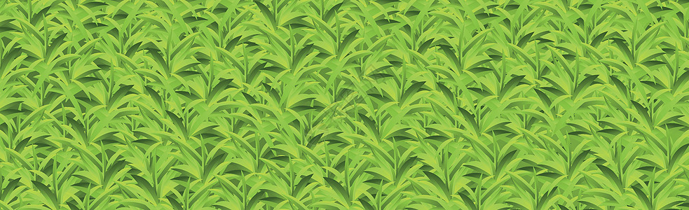 现实的黄绿色草 草原背景矢量花瓣插图太阳土地蝴蝶洋甘菊墙纸草本植物植物叶子图片