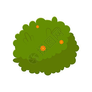 白色背景上隔离的卡通泉生绿树 Flat 矢量插图生态卡通片园林绿化艺术植被环境花园季节植物群图片
