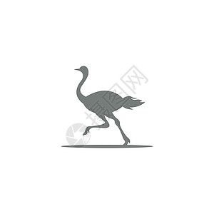 Ostric 图标标志标识设计插图动物园动物农场荒野野生动物脖子黑色图片