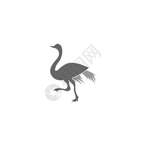 Ostric 图标标志标识设计插图动物园野生动物荒野黑色动物脖子农场图片