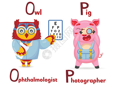 猫头鹰ABC Latin字母动物职业 从信天翁眼科医生和用卡通风格的猪摄影师开始设计图片