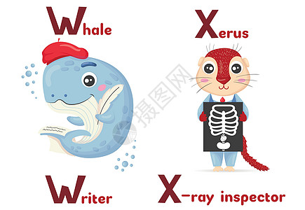拉丁字母ABC动物职业 从写字鲸和卡通风格的Xxerus X光检查员开始图片