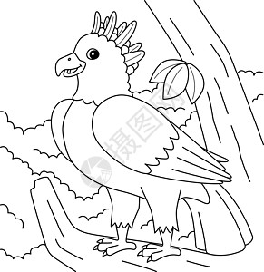 儿童哈皮鹰动物彩色页面图片