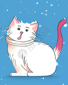 冬天下雪了 还有我们可爱的朋友猫友谊乐趣小猫血统毛皮动物工作室宠物哺乳动物猫科图片