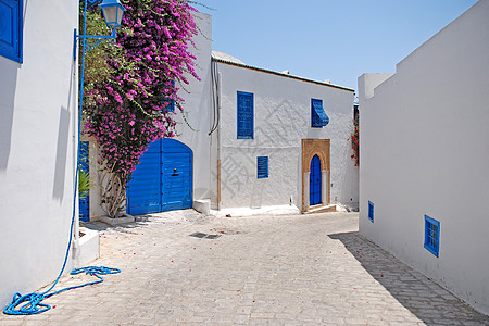 突尼斯 住宅 镇 蓝色的 西迪布赛义德 阿拉伯 走 建筑 建筑学 豪华图片