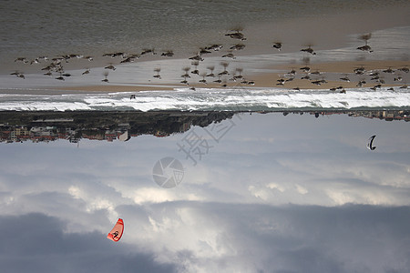 海滩沙滩 放松 户外 海滨 安详 夏天 海岸线 海岸 刨床图片