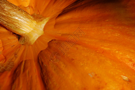 南瓜 蔬菜 秋天 收成 自然 橙子 新鲜的 派对背景图片