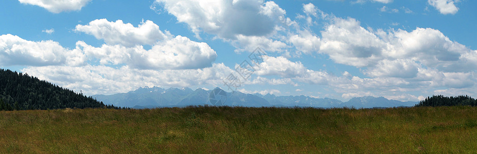 全光草地 皮尼尼 绿色的 风景 假期 全景 山 塔特拉 床单图片