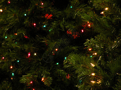 圣诞树灯 灯光 季节背景图片