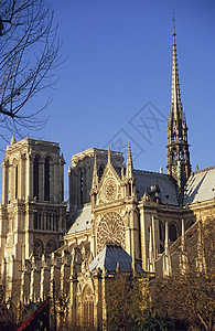 圣母大教堂 建筑学 巴黎 贵妇人 宗教 玻璃 老的 法国图片