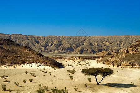 干旱沙漠图片