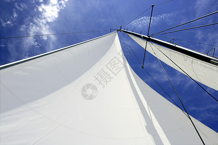 阳光明媚的夏日 航行蓝海的帆船 游艇 力量 地平线图片