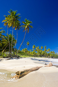 特立尼达库马纳湾 海滩 外观 加勒比海 天堂 热带图片