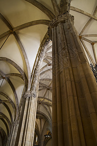 大教堂 拱门和圆顶内 防御 历史 春天 老的图片