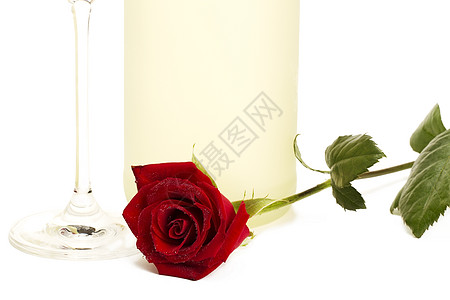 玫瑰花苞湿红玫瑰 在香水瓶和香槟杯前背景