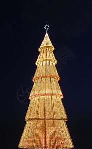 圣诞树夜景美丽的高高圣诞树 日落 十二月 季节 黄昏 灯背景