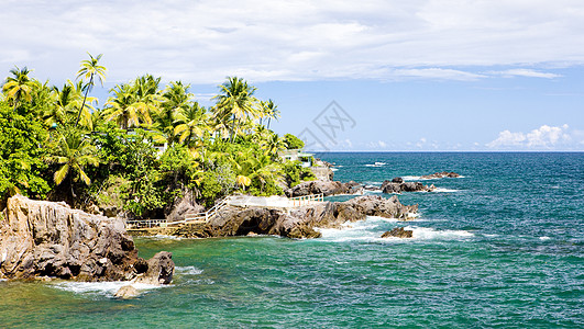 巴兰德拉湾 特立尼达 树木 海洋 岛屿 海 西印度群岛图片